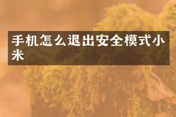 手机怎么退出安全模式小米