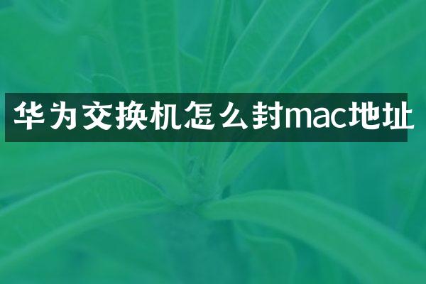 华为交换机怎么封mac地址