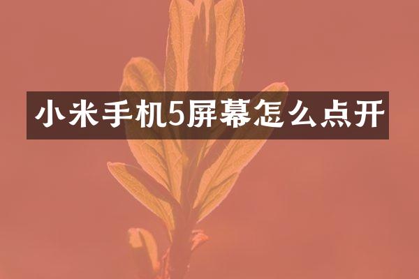 小米手机5屏幕怎么点开