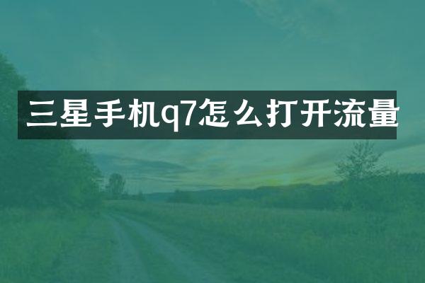 三星手机q7怎么打开流量