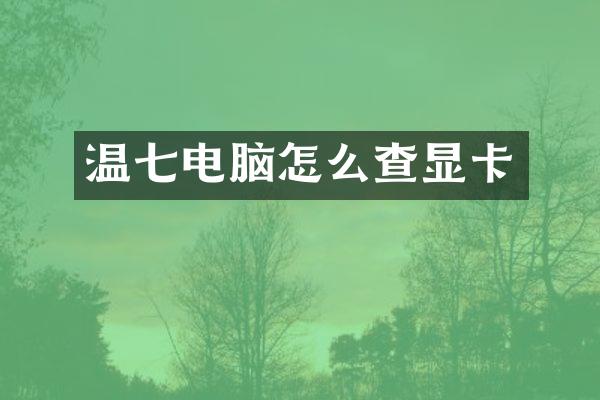 温七电脑怎么查显卡