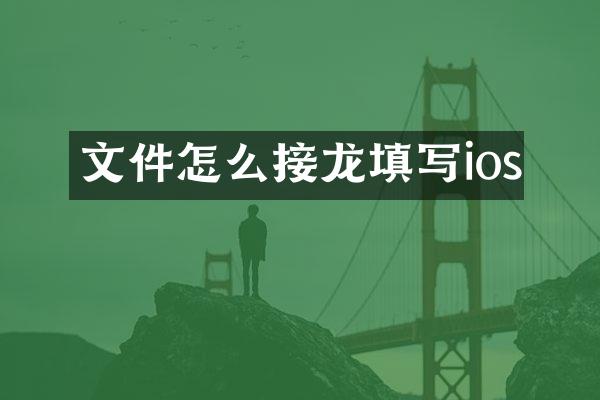 文件怎么接龙填写ios