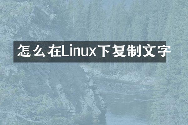 怎么在Linux下复制文字