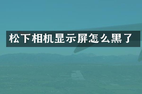 相机显示屏怎么黑了