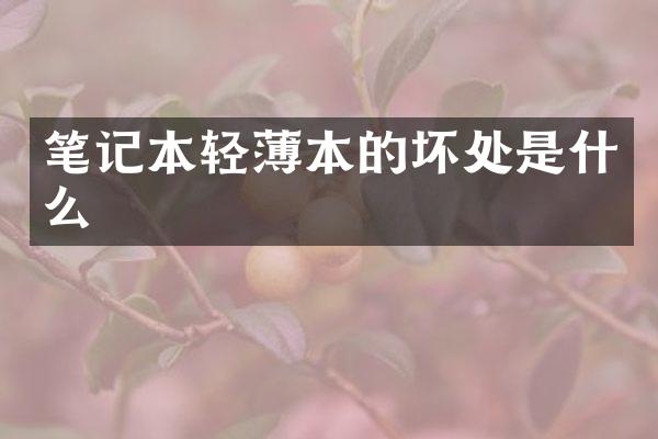 笔记本轻薄本的坏处是什么