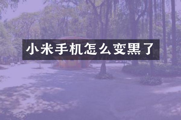 小米手机怎么变黑了