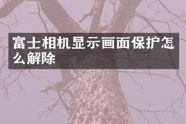 富士相机显示画面保护怎么解除