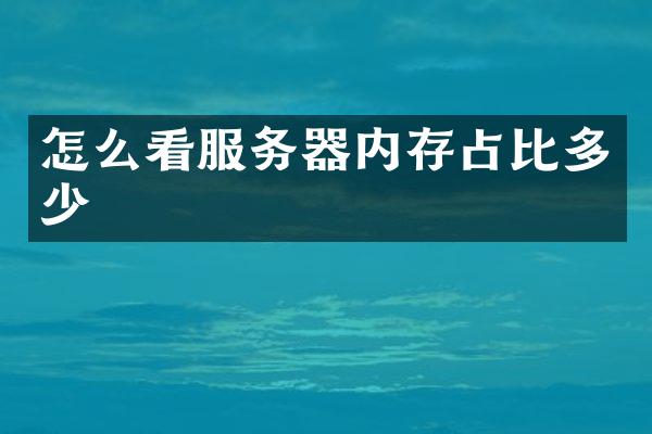 怎么看服务器内存占比多少