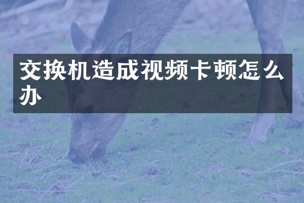 交换机造成视频卡顿怎么办