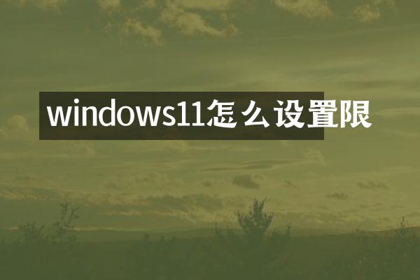 windows11怎么设置限