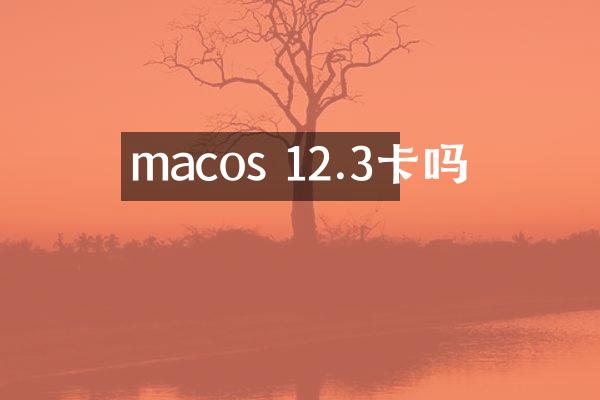 macos 12.3卡吗
