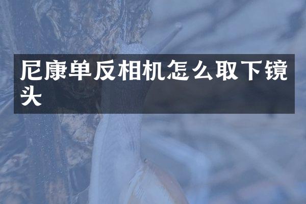 尼康单反相机怎么取下镜头
