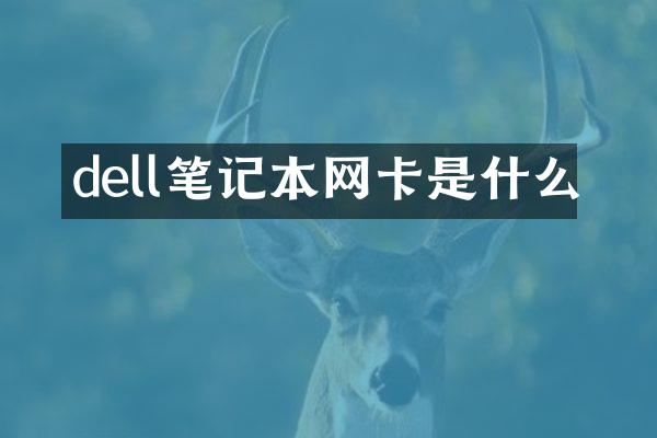 dell笔记本网卡是什么