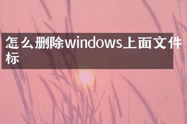 怎么删除windows上面文件图标