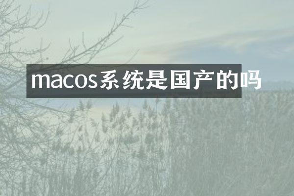 macos系统是国产的吗