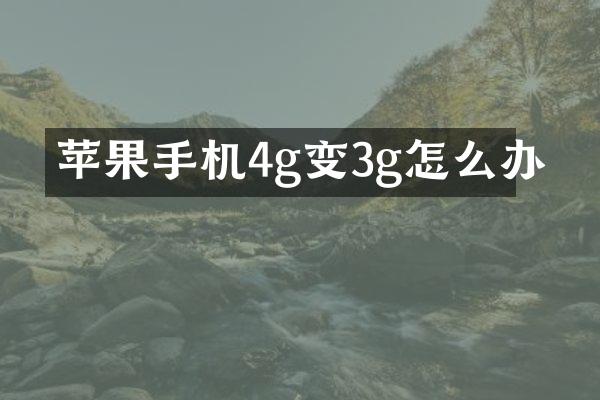 苹果手机4g变3g怎么办