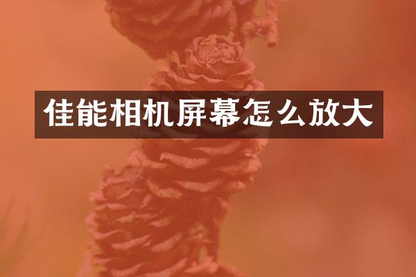 佳能相机屏幕怎么放大