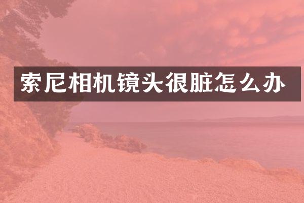 相机镜头很脏怎么办