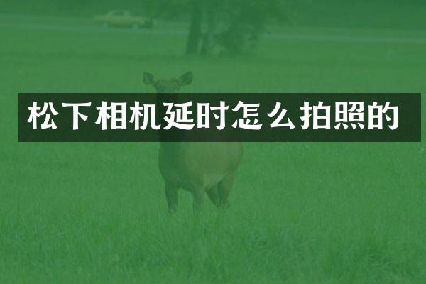 相机延时怎么拍照的
