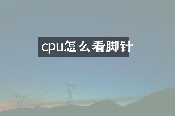 cpu怎么看脚针