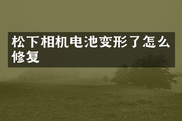 相机电池变形了怎么修复