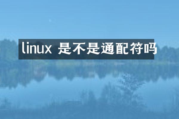 linux 是不是通配符吗