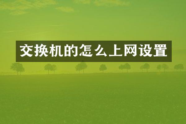 交换机的怎么上网设置