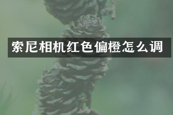 相机红色偏橙怎么调