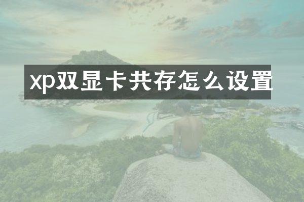 xp双显卡共存怎么设置