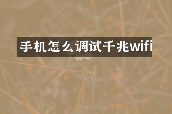 手机怎么调试千兆wifi