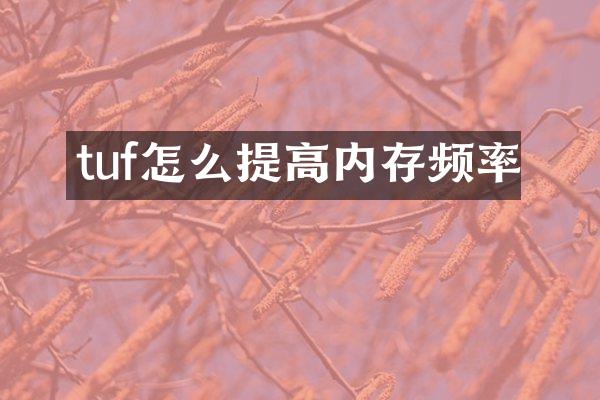 tuf怎么提高内存频率
