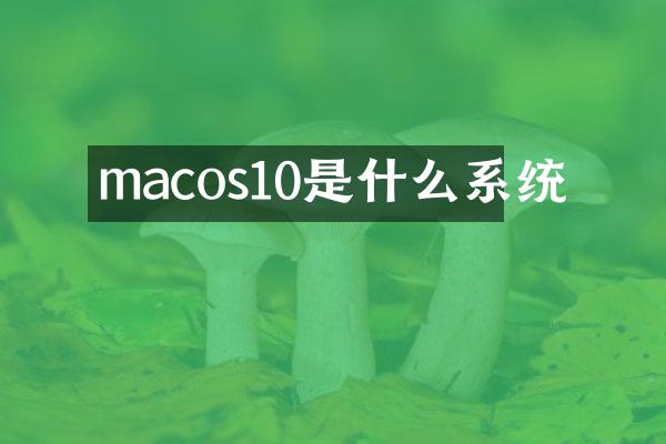 macos10是什么系统