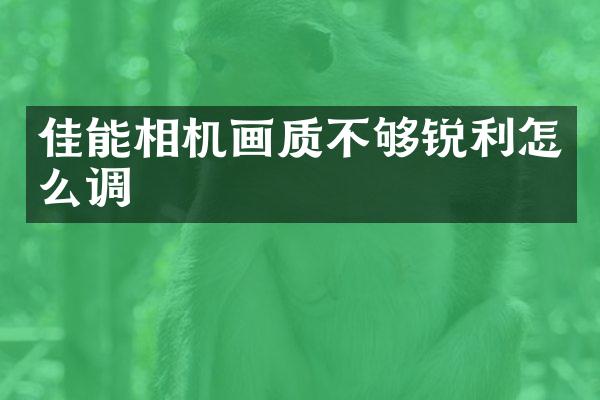 佳能相机画质不够锐利怎么调