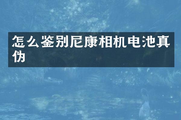 怎么鉴别尼康相机电池真伪