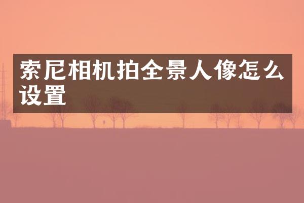 相机拍全景人像怎么设置