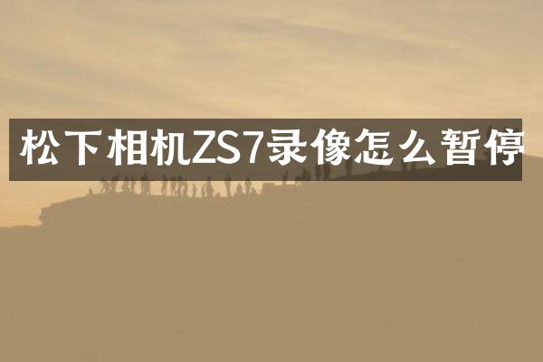 相机ZS7录像怎么暂停