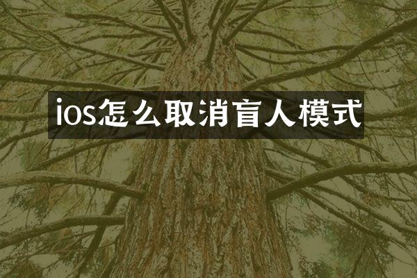 ios怎么取消盲人模式