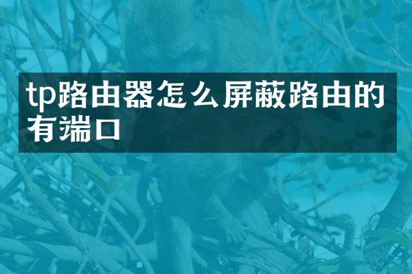 tp路由器怎么屏蔽路由的所有端口