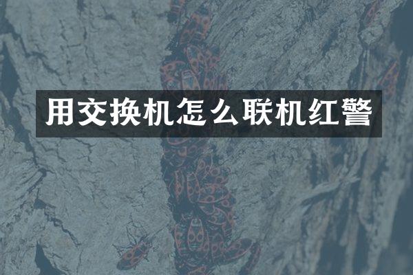 用交换机怎么联机红警