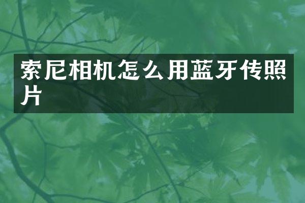 相机怎么用蓝牙传照片