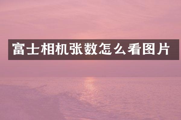 富士相机张数怎么看图片