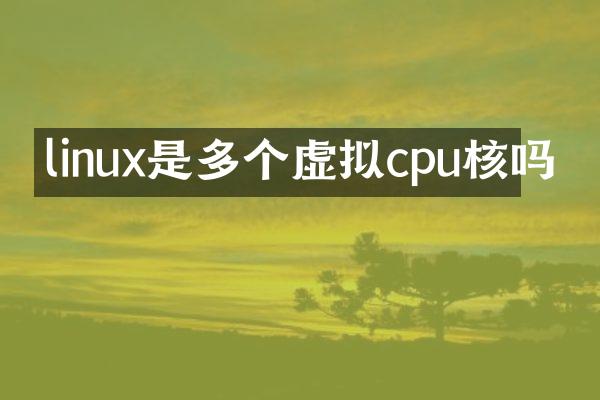 linux是多个虚拟cpu核吗