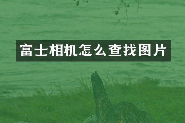 富士相机怎么查找图片