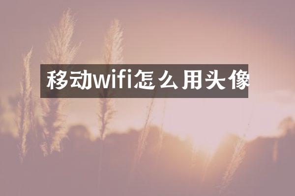 移动wifi怎么用头像