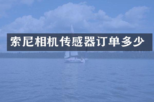 相机传感器订单多少