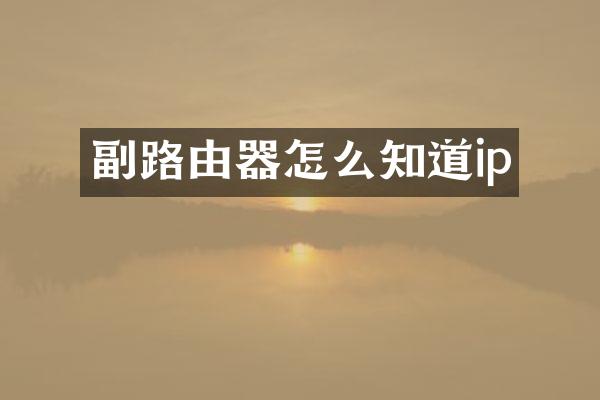 副路由器怎么知道ip