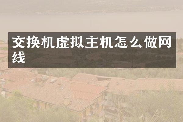 交换机虚拟主机怎么做网线