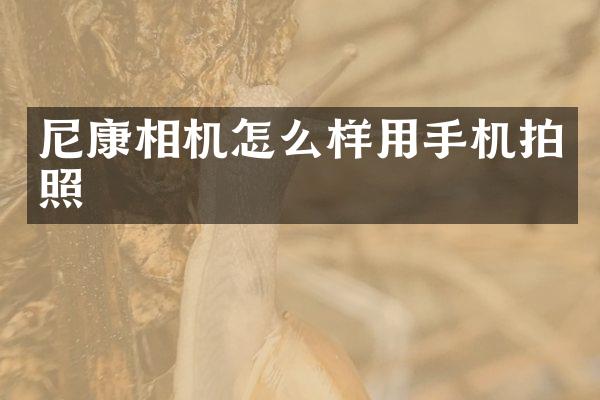 尼康相机怎么样用手机拍照