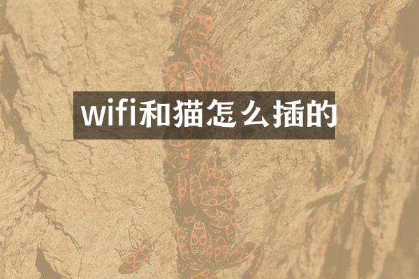 wifi和猫怎么插的