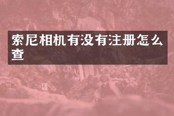 相机有没有注册怎么查